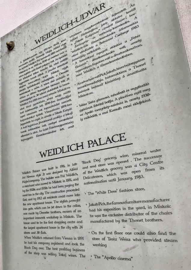 City Center Apartman - Weidlich Palace - Miszkolc Zewnętrze zdjęcie